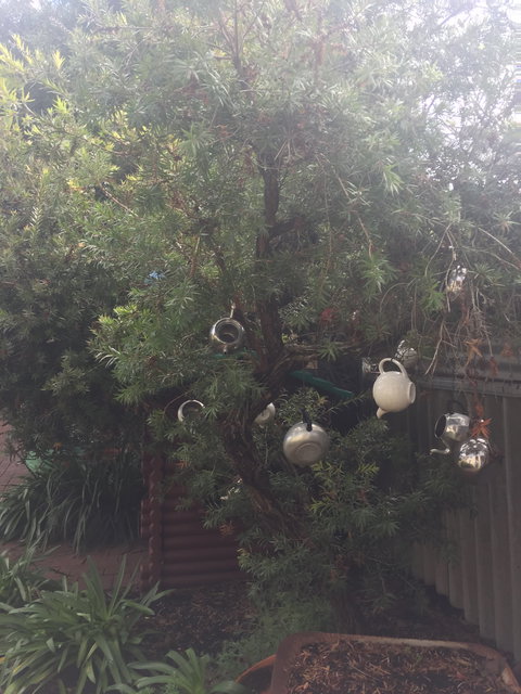 Dwellingup Blue Wren Cafe - Melbourne Tourism 2