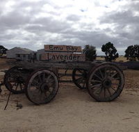 Emu Bay Lavender