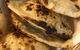 Indian Express Street Food & Curries - thumb 9