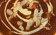 Indian Express Street Food & Curries - thumb 4