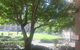 Ryans On The Park - thumb 0
