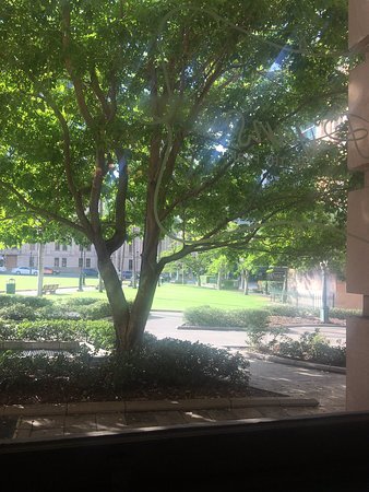 Ryans On The Park - Melbourne Tourism 0