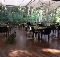The Restaurant at Cedar Park