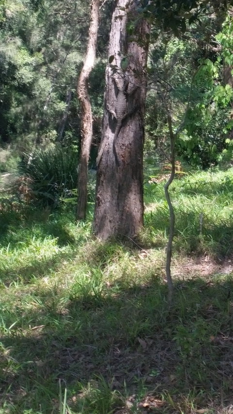 Broken River Kiosk - Melbourne Tourism 3