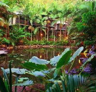 Daintree Eco Lodge  Spa - Melbourne Tourism