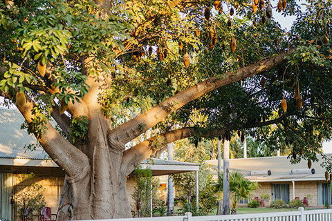 Kimberley Grande Resort & Conf Ctr - Melbourne Tourism 0