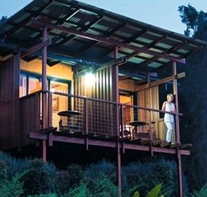O'Reilly's Rainforest Guesthouse - Melbourne Tourism 1