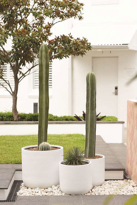 Adina Apartment Hotel Chippendale - Melbourne Tourism 0