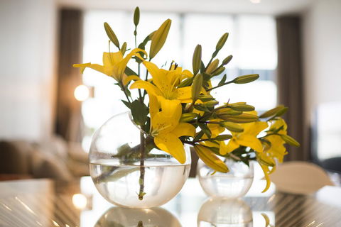 KUI - Manhattan Apartments - Melbourne Tourism 0