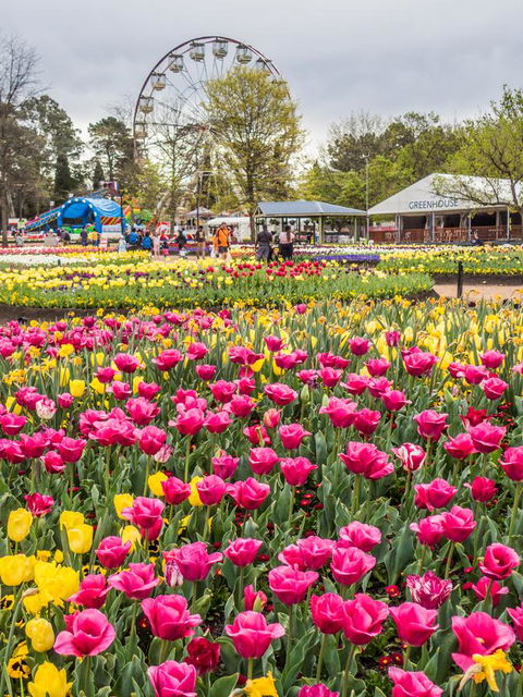 ALLARA CANBERRA - Melbourne Tourism 15