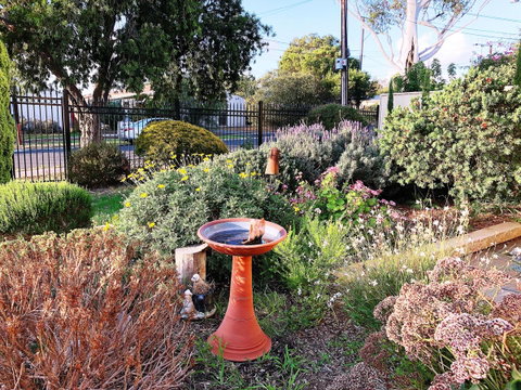 Beautiful Garden House - Melbourne Tourism 21