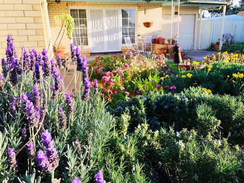 Beautiful Garden House - Melbourne Tourism 9