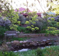 Frog Song at Willunga