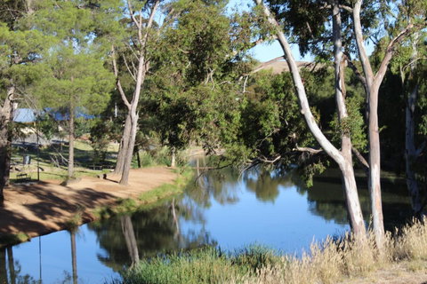 Hillside Cottage - Melbourne Tourism 11