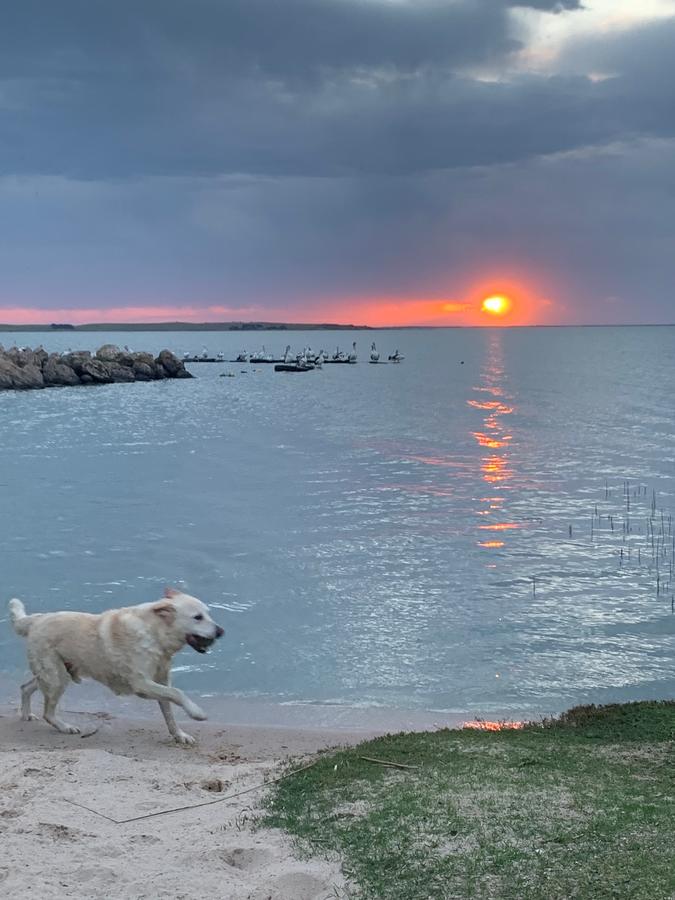 Meningie SA Melbourne Tourism