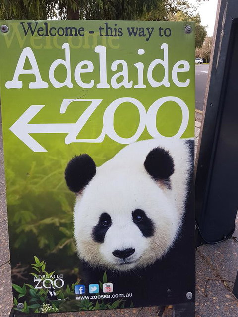 Adelaide Style Accommodation-Close To City-North Adelaide-3 Bdrm- FREE Parking - Melbourne Tourism 35
