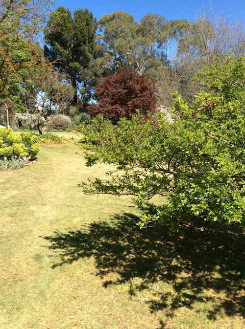 Kit Kat Cottage - Heritage Accommodation Burra - Melbourne Tourism 6