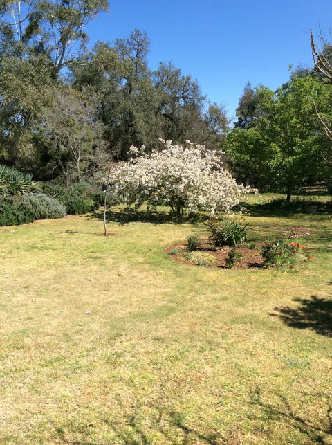 Kit Kat Cottage - Heritage Accommodation Burra - Melbourne Tourism 5