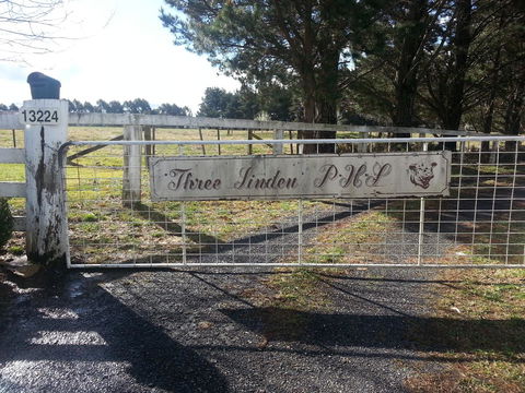 Three Linden - Melbourne Tourism 6