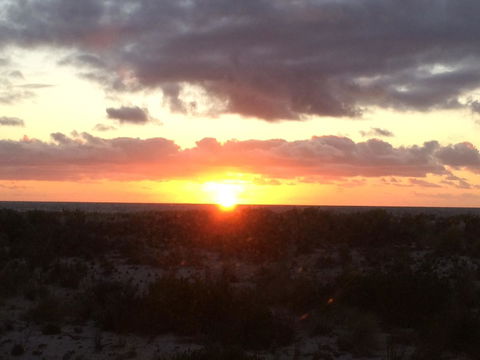 Adelaide - Semaphore Beach Front - Melbourne Tourism 36