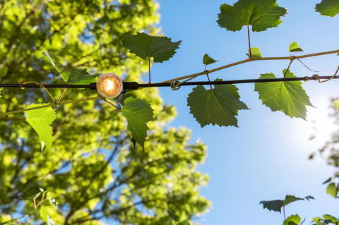 Adelaide Hills Retreats - Melbourne Tourism 32