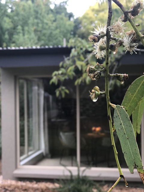 Adelaide Hills Retreats - Melbourne Tourism 9