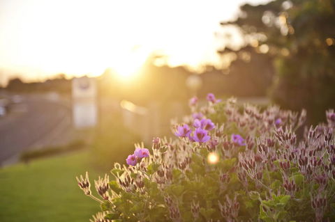 Kangaroo Island Seaside Inn - Melbourne Tourism 33