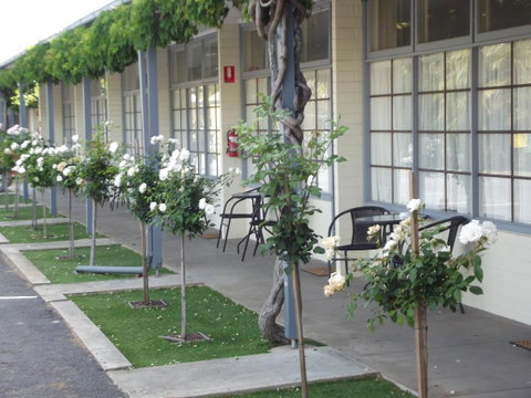 Guichen Bay Motel - Melbourne Tourism 38