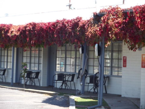 Guichen Bay Motel - Melbourne Tourism 23