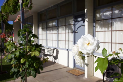 Guichen Bay Motel - Melbourne Tourism 33