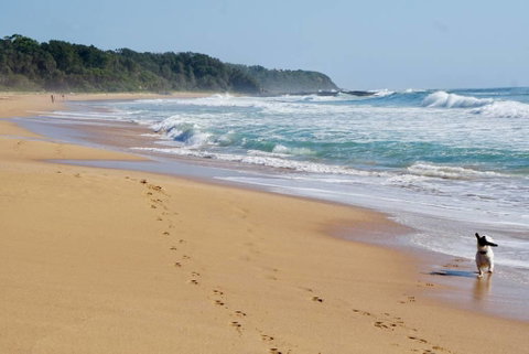 Culburra Beachhouse - Melbourne Tourism 7