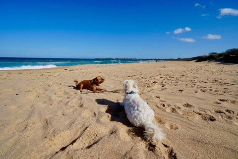 Culburra Beachhouse - Melbourne Tourism 8