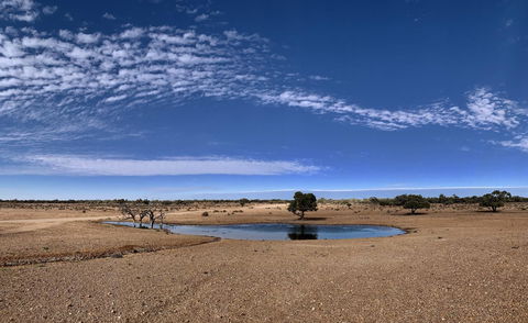 Opal Inn Hotel, Motel, Caravan Park - Melbourne Tourism 10