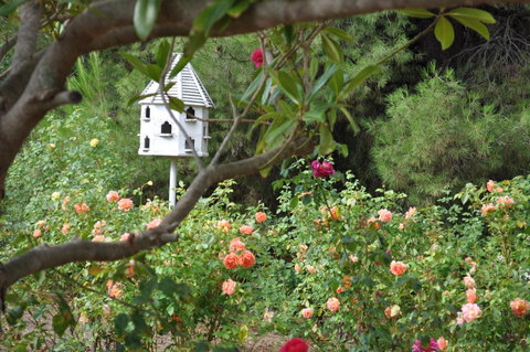 The Lyndoch Motel - Melbourne Tourism 2