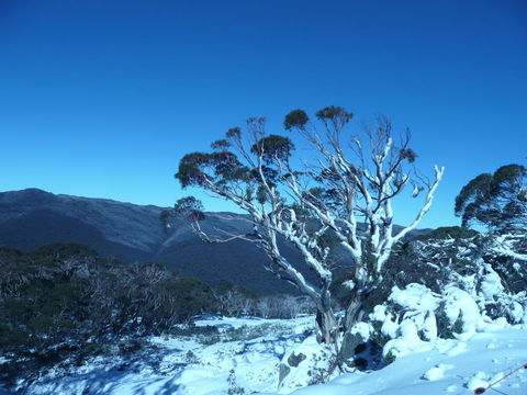 CHILL-OUT - Thredbo - Melbourne Tourism 33