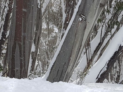 CHILL-OUT - Thredbo - Melbourne Tourism 30