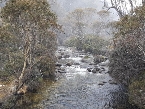 CHILL-OUT - Thredbo - Melbourne Tourism 23