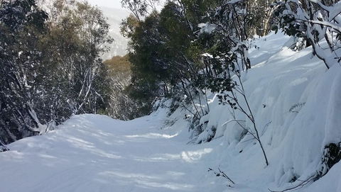 CHILL-OUT - Thredbo - Melbourne Tourism 17