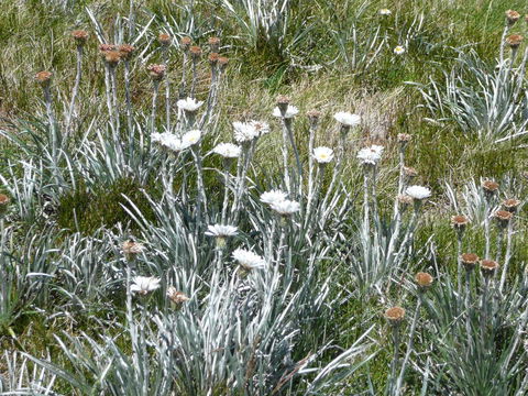 CHILL-OUT - Thredbo - Melbourne Tourism 36