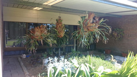 Hilltop Escape - Melbourne Tourism 11