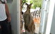 Aston Motel Yamba - thumb 10