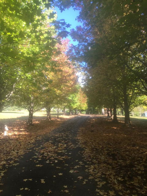 A Peaceful Cabin In The Country - Melbourne Tourism 0