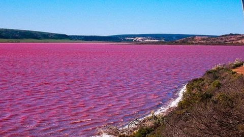 Kanga Cottage - Melbourne Tourism 38