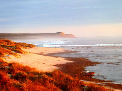 Kanga Cottage - Melbourne Tourism 26