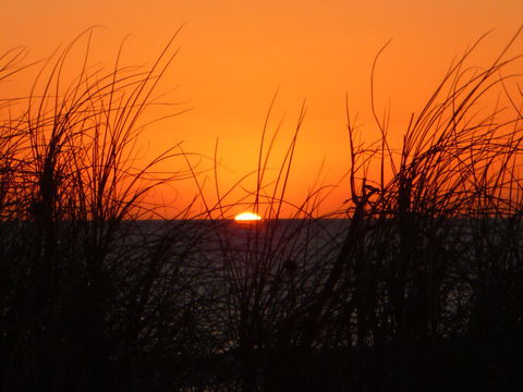 Kanga Cottage - Melbourne Tourism 27