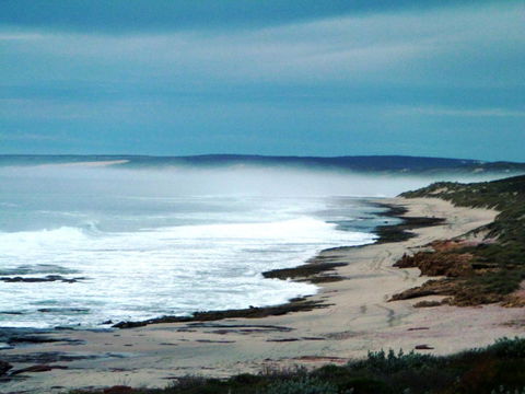 Kanga Cottage - Melbourne Tourism 34