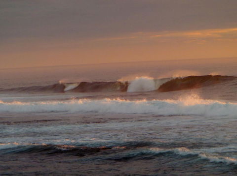 Kanga Cottage - Melbourne Tourism 42