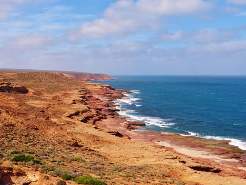 Kanga Cottage - Melbourne Tourism 32