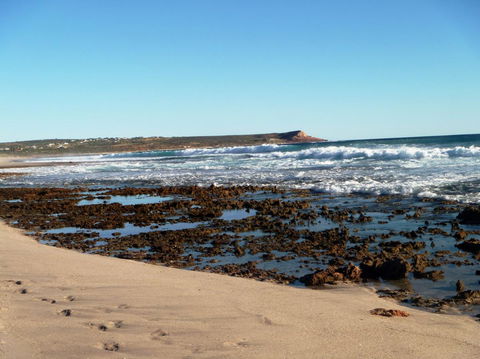 Kanga Cottage - Melbourne Tourism 31