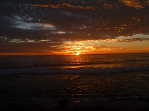 Kanga Cottage - Melbourne Tourism 41